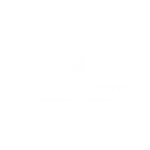 Darquiria Rocha